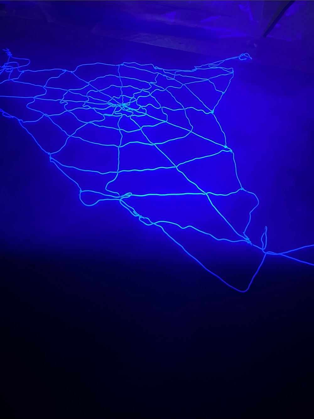 GIANT GlowWeb Halloween House Prop with Black Light